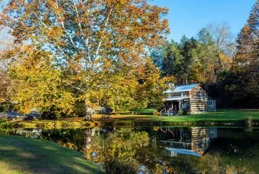 Promenade dans la nature : un moyen efficace pour se relaxer